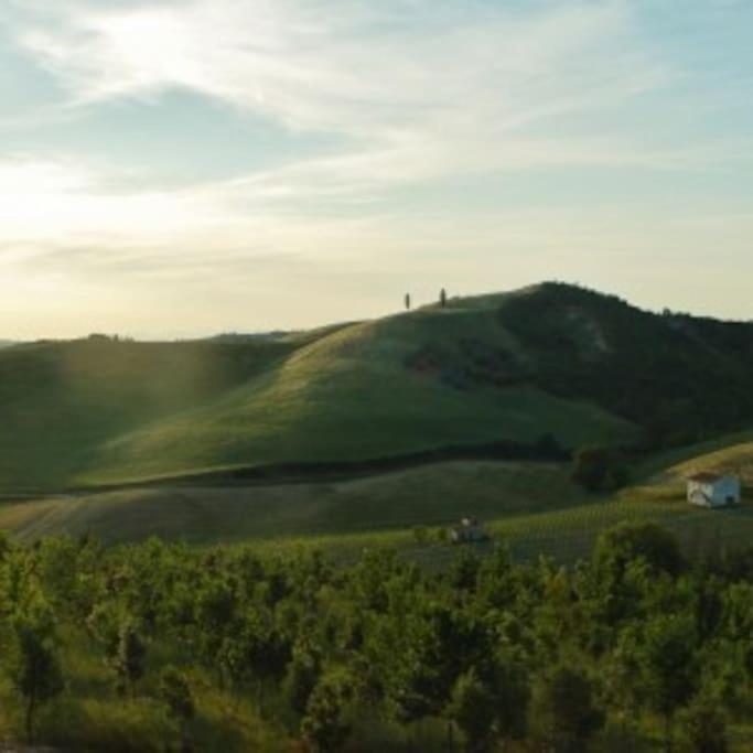 Poggio Ai Legni Villa Certaldo Luaran gambar